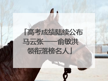 高考成绩陆续公布 马云张一一俞敏洪领衔落榜名人