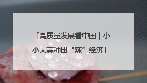 高质量发展看中国｜小小大蒜种出“辣”经济