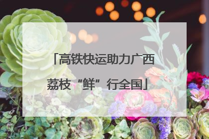 高铁快运助力广西荔枝“鲜”行全国