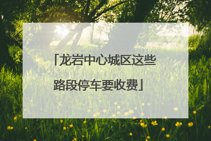龙岩中心城区这些路段停车要收费