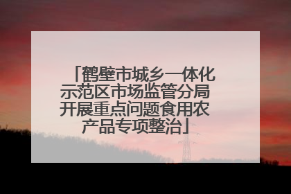 鹤壁市城乡一体化示范区市场监管分局开展重点问题食用农产品专项整治