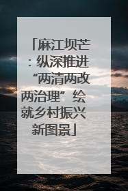 麻江坝芒：纵深推进“两清两改两治理”绘就乡村振兴新图景
