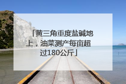 黄三角重度盐碱地上，油菜测产每亩超过180公斤