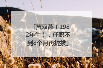 黄双燕（1982年生），任职不到8个月再提拔