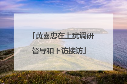黄喜忠在上犹调研督导和下访接访