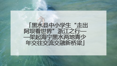 黑水县中小学生“走出阿坝看世界”浙江之行——架起海宁黑水两地青少年交往交流交融新桥梁