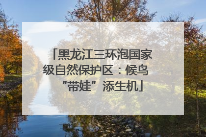 黑龙江三环泡国家级自然保护区：候鸟“带娃”添生机