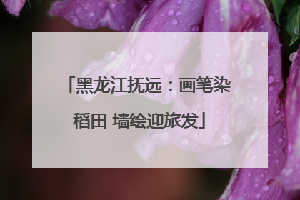 黑龙江抚远：画笔染稻田 墙绘迎旅发