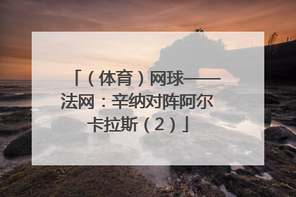 （体育）网球——法网：辛纳对阵阿尔卡拉斯（2）