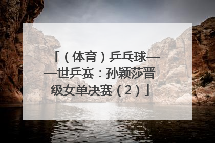 （体育）乒乓球——世乒赛：孙颖莎晋级女单决赛（2）