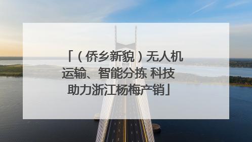 （侨乡新貌）无人机运输、智能分拣 科技助力浙江杨梅产销