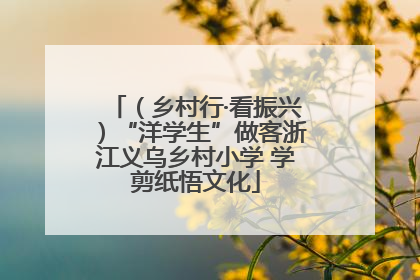 （乡村行·看振兴）“洋学生”做客浙江义乌乡村小学 学剪纸悟文化