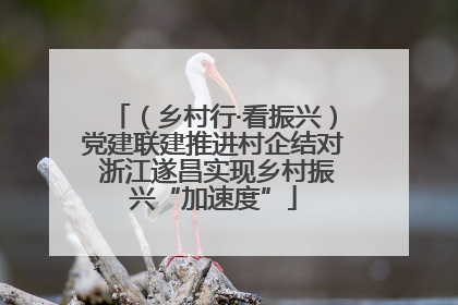 （乡村行·看振兴）党建联建推进村企结对 浙江遂昌实现乡村振兴“加速度”