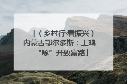 （乡村行·看振兴）内蒙古鄂尔多斯：土鸡“啄”开致富路