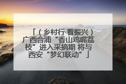 （乡村行·看振兴）广西合浦“香山鸡嘴荔枝”进入采摘期 将与西安“梦幻联动”
