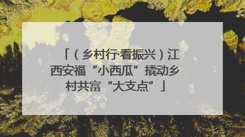 （乡村行·看振兴）江西安福“小西瓜”撬动乡村共富“大支点”