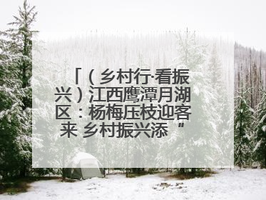 （乡村行·看振兴）江西鹰潭月湖区：杨梅压枝迎客来 乡村振兴添“梅”景