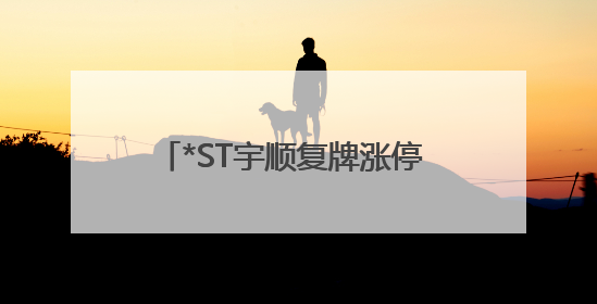 *ST宇顺复牌涨停 ST板块引资金热炒