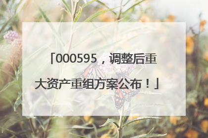 000595，调整后重大资产重组方案公布！