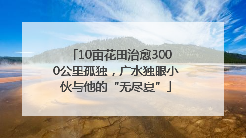 10亩花田治愈3000公里孤独，广水独眼小伙与他的“无尽夏”