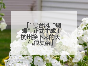 1号台风“蝴蝶”正式生成！杭州接下来的天气很复杂