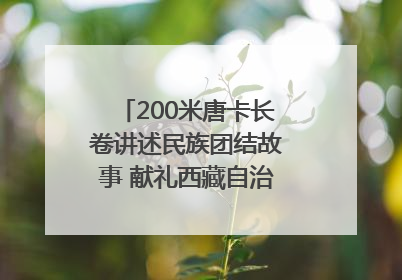 200米唐卡长卷讲述民族团结故事 献礼西藏自治区成立60周年