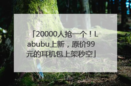 20000人抢一个！Labubu上新，原价99元的耳机包上架秒空