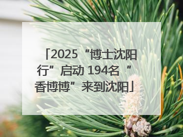 2025“博士沈阳行”启动 194名“香博博”来到沈阳