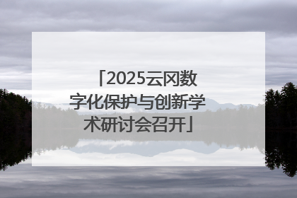 2025云冈数字化保护与创新学术研讨会召开
