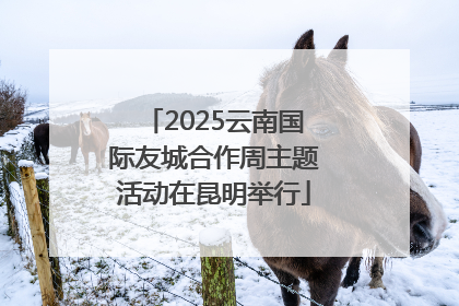 2025云南国际友城合作周主题活动在昆明举行