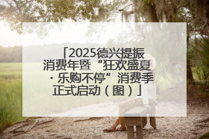 2025德兴提振消费年暨“狂欢盛夏・乐购不停”消费季正式启动（图）