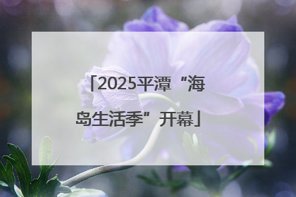 2025平潭“海岛生活季”开幕