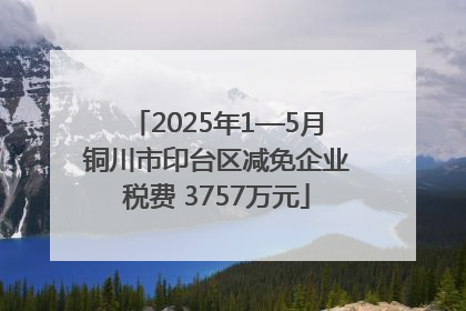 2025年1—5月铜川市印台区减免企业税费 3757万元