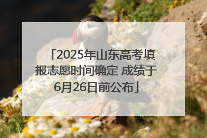 2025年山东高考填报志愿时间确定 成绩于6月26日前公布