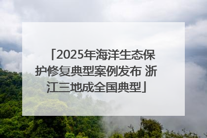 2025年海洋生态保护修复典型案例发布 浙江三地成全国典型