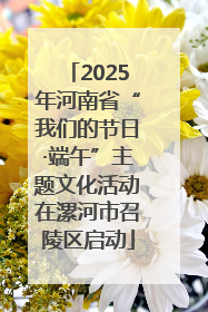2025年河南省“我们的节日·端午”主题文化活动在漯河市召陵区启动