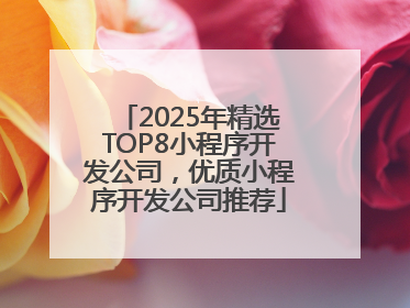 2025年精选TOP8小程序开发公司，优质小程序开发公司推荐
