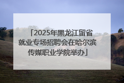 2025年黑龙江留省就业专场招聘会在哈尔滨传媒职业学院举办