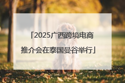 2025广西跨境电商推介会在泰国曼谷举行