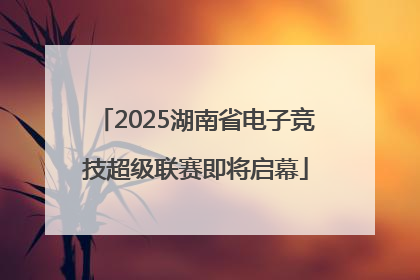 2025湖南省电子竞技超级联赛即将启幕