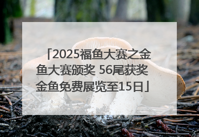 2025福鱼大赛之金鱼大赛颁奖 56尾获奖金鱼免费展览至15日