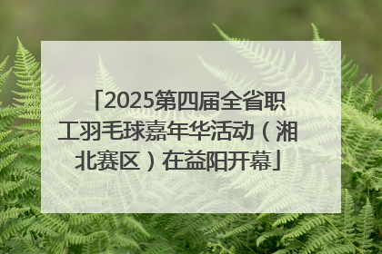 2025第四届全省职工羽毛球嘉年华活动（湘北赛区）在益阳开幕