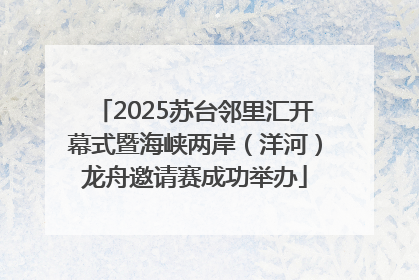 2025苏台邻里汇开幕式暨海峡两岸（洋河）龙舟邀请赛成功举办