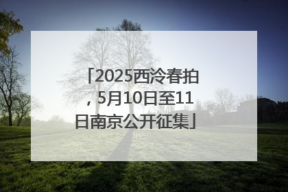 2025西泠春拍，5月10日至11日南京公开征集