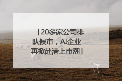 20多家公司排队候审，AI企业再掀赴港上市潮