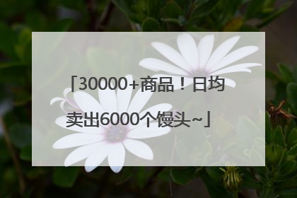 30000+商品！日均卖出6000个馒头~