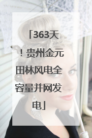 363天！贵州金元田林风电全容量并网发电