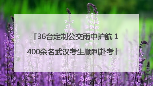 36台定制公交雨中护航 1400余名武汉考生顺利赴考