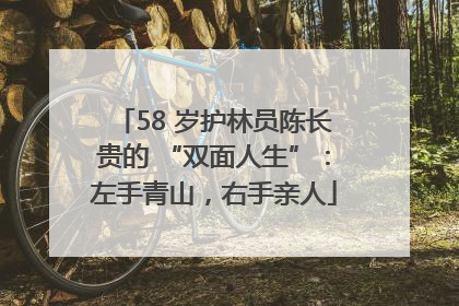 58 岁护林员陈长贵的 “双面人生”：左手青山，右手亲人