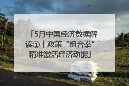 5月中国经济数据解读①丨政策“组合拳”精准激活经济动能